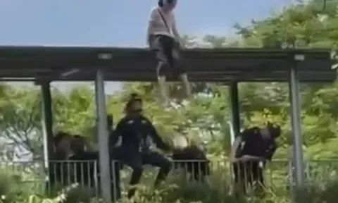 Clip: Hốt hoảng với người phụ nữ ngồi cheo leo trên thành cầu, đội cứu hộ hành động nhanh như chớp