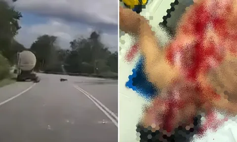 "Xả stress" bên lề đường, tài xế bất ngờ bị báo đen tấn công dã man