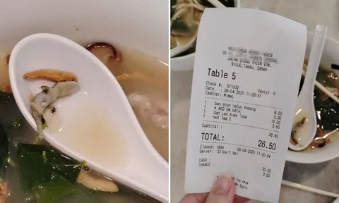 Tô mì “ám ảnh”: Thạch sùng trong bát và cú sốc từ câu nói của nhân viên