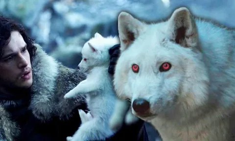 Sói khổng lồ trong loạt phim "Game of Thrones" được hồi sinh ngoài đời thực sau 12.500 năm