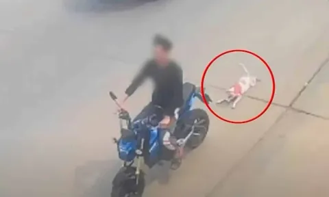 Thương tâm cảnh chú chó bị kéo lê 600m trên đường, lý do đưa ra khiến cộng đồng mạng phẫn nộ