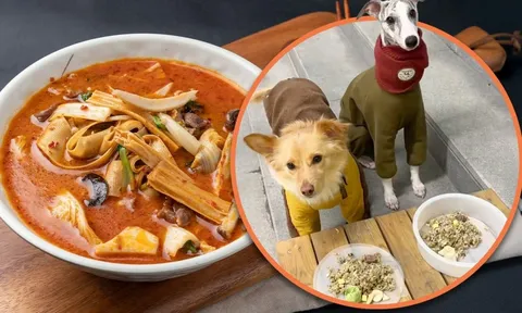 Nồi lẩu đặc biệt dành cho chó cưng khiến dân mạng "phát hờn": "Còn ngon hơn cả đồ tôi ăn"