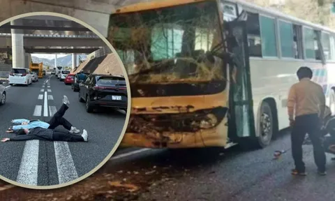 Chụp ảnh, uống rượu, dắt chó giữa đường sau tai nạn, hai du khách bị cộng đồng mạng đòi trục xuất