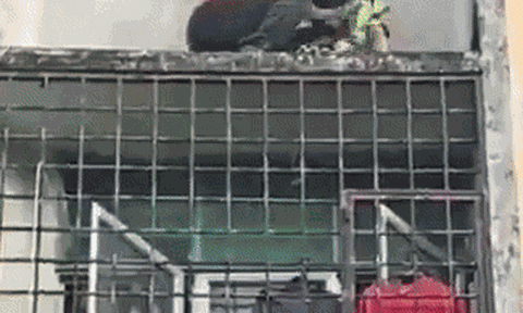 Clip: Người đàn ông liều mình cứu bé trai ngồi cheo leo ngoài cửa sổ, được ca ngợi là anh hùng