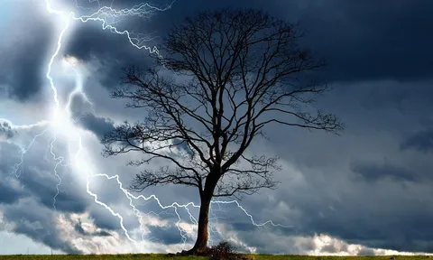 Cây đổ giữa cơn bão, nam thanh niên 21 tuổi thiệt mạng trong giấc ngủ trưa