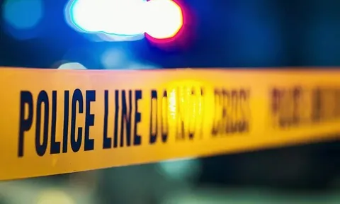 Bé gái 4 tuổi sống sót thần kỳ sau 2 tuần ở cạnh thi thể mẹ và anh trai, cầm cự trong tuyệt vọng chỉ bằng socola