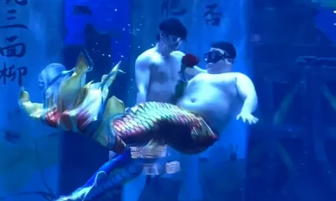 Clip: Người cá "mũm mĩm" gây sốt tại thủy cung