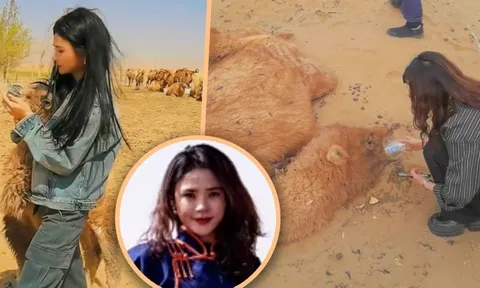 Cứu lạc đà giữa nắng cháy sa mạc, nữ hướng dẫn viên du lịch khiến cư dân mạng cảm phục