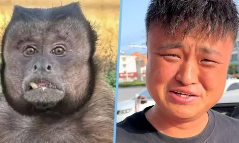 Giống khỉ đến lạ, TikToker chuyên giả tiếng động vật gây sốt khi tìm gặp “bản sao” tại vườn thú