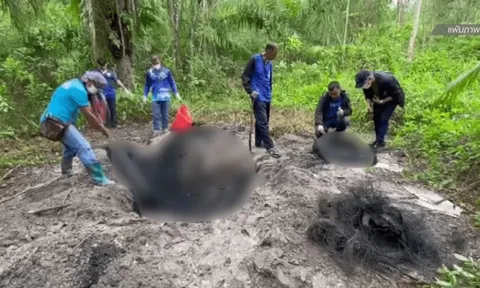 Phát hiện 4 thi thể cháy đen trong đồn điền cọ dầu, cảnh sát nghi án giết người