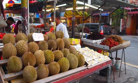 Mang sầu riêng vào khách sạn, du khách khóc ròng vì "bay" gần 4 triệu đồng