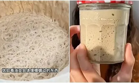 "Nuôi" men nở làm... thú cưng, trào lưu mới khiến giới trẻ Trung Quốc mê mẩn