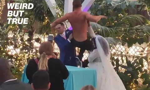 Clip: Đám cưới "vỡ trận" khi người lạ bỗng nhiên lột áo, vật lộn ngay giữa sân khấu