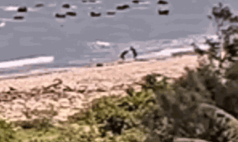 Phát hiện thi thể cô gái trôi dạt bên bờ biển, hé lộ tội ác rúng động