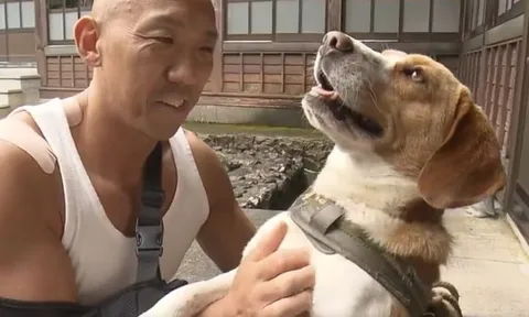 Chú chó từng bị bỏ rơi cứu sống sư thầy khỏi móng vuốt gấu hoang