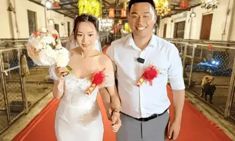 Cặp đôi Trung Quốc gây sốt với hôn lễ giữa hàng trăm "khách mời" đặc biệt