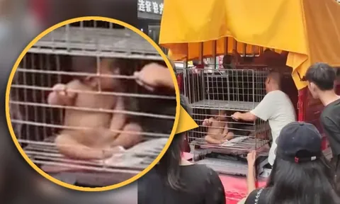 Cha nhốt con trần truồng trong lồng sắt giữa trời nóng: Dân mạng phẫn nộ, chính quyền vào cuộc