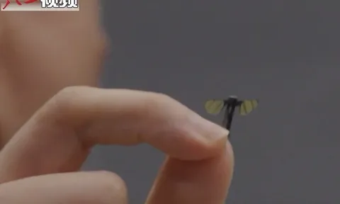 Trung Quốc tung ra Drone "tí hon" như con muỗi, khó phát hiện bằng mắt thường khiến dân mạng rùng mình