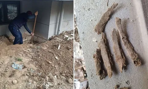 Căn nhà “giá rẻ” tưởng được "an cư" nhưng khiến cả gia đình sống trong sợ hãi vì phát hiện kinh hoàng này