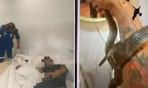 Câu view bằng rắn độc, nam thanh niên phải trả giá bằng cả mạng sống