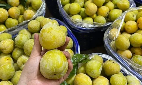 Loại mận Trung Quốc gây sốt thị trường hoa quả Việt Nam: Giá 450.000 đồng/kg vẫn cháy hàng