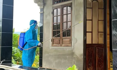 Bệnh liên cầu lợn bùng phát tại Huế: 32 ca nhập viện, nhiều trường hợp nặng gia đình xin đưa về