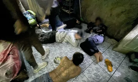 Bán ma túy để nuôi hàng chục chú chó, mèo hoang, người đàn ông khiến dân mạng vừa thương vừa giận