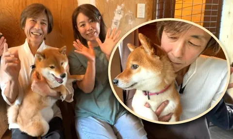 Cảm động người đàn ông bán cả siêu xe Ferrari để nuôi đàn chó dữ: “Chúng từng cứu tôi, giờ là lúc trả ơn”