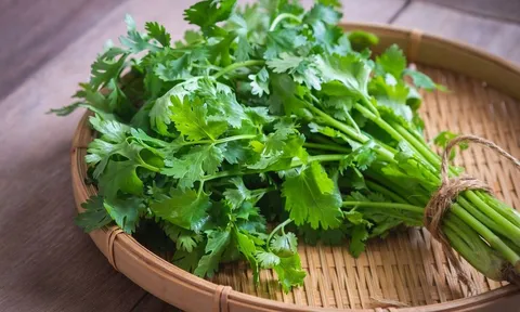 Loại rau thơm quen thuộc tưởng lành mà độc, ai thuộc nhóm này nên tránh xa kẻo "rước họa vào thân"