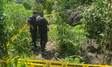 Nhìn nhầm người thành thú, cụ ông nổ súng gây chết người