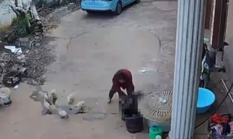 Camera ghi lại khoảnh khắc đau lòng: Bé trai ngã úp mặt vào xô nước, khi người bà phát hiện ra thì đã quá muộn