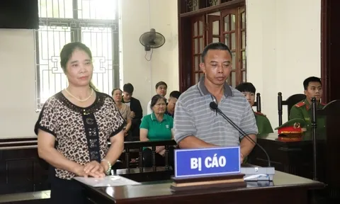 Lào Cai: Phạt tù đôi vợ chồng sản xuất hơn 4 tấn giá đỗ tẩm hóa chất cấm