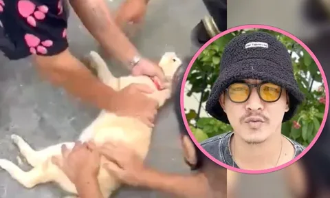 Chú mèo nhỏ bị điện giật nằm bất động giữa đường, người đàn ông lao đến làm điều khiến ai cũng cảm động