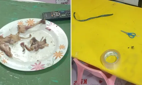 Tên trộm "kỳ lạ" đột nhập vào nhà trẻ, không lấy tiền mà chỉ làm điều này khiến ai cũng khó tưởng tượng nổi