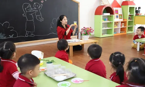 Tuổi nghỉ hưu của giáo viên nam và nữ thay đổi ra sao từ năm 2026, và vì sao giáo viên mầm non lại được nghỉ sớm hơn?