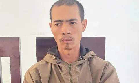 Gia Lai: Bản án dành cho gã anh rể phá hoại vườn cà phê để "đòi quan hệ với em vợ", gây thiệt hại 183 triệu đồng