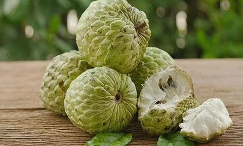 Thứ cực độc ẩn trong quả na nhưng ít ai biết: Cảnh báo nguy cơ ngộ độc, thậm chí mù lòa nếu sử dụng sai cách