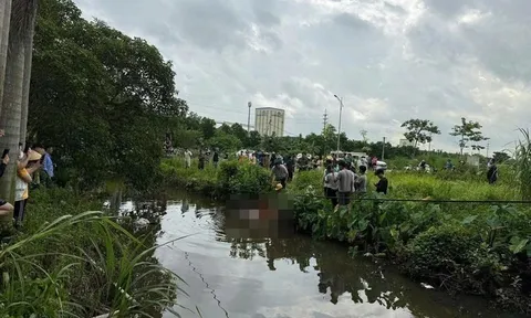 Vụ bà nội sát hại 2 cháu trai: Người bà khai gì?