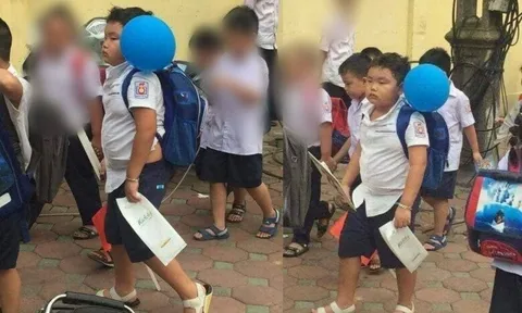 Loạt ảnh khai giảng huyền thoại qua các năm của Bi béo con trai Xuân Bắc, nhân vật chính giờ lớp 11 phong thái đĩnh đạc