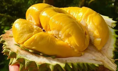 Tưởng vô hại, những món ăn và trái cây này lại khiến nhiều người gặp rắc rối khi kiểm tra nồng độ cồn