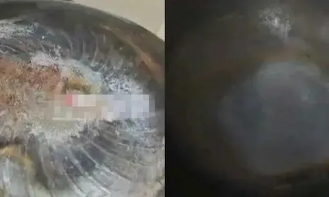 Trở về sau chuyến đi dài, người đàn ông chết lặng khi thấy bếp gas vẫn cháy suốt 27 ngày