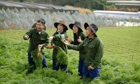 Vụ kẹo rau củ Kera: Hé lộ màn dàn dựng nông trại "ảo" của nhóm Hoa hậu Thùy Tiên, Quang Linh Vlog và Hằng Du mục