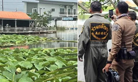 Nam thanh niên nhảy xuống ao sen để... bơi sau chầu nhậu, đuối nước thương tâm