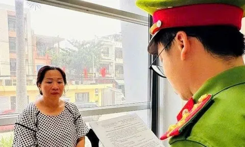 Đà Nẵng: Khởi tố "bà trùm" Đặng Thị Hoài