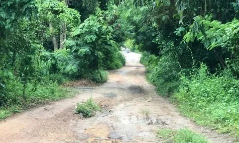 Vụ "nghịch tử" sát hại mẹ, chém chị ruột trọng thương ở TP.HCM: Công an vào cuộc