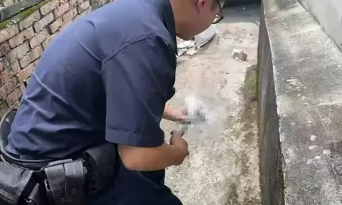 Khoảnh khắc kinh hoàng: Chó từ trong nhà xông ra cắn lìa ngón tay người đưa thư khiến cả khu phố tá hỏa