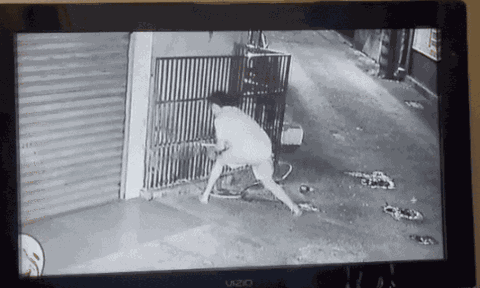 Giận dữ vì tiếng sủa của chú chó nhà hàng xóm, người đàn ông 35 tuổi gây ra thảm cảnh khiến cả cộng đồng phẫn nộ