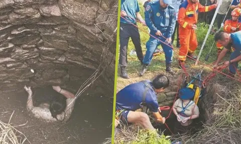 Rơi xuống giếng cũ, bị muỗi cắn, rắn nước bơi quanh, người phụ nữ 48 tuổi bấu tay suốt 54 giờ để giành giật sự sống