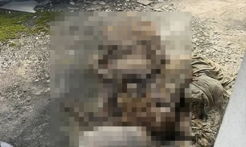 Những tấm ảnh kinh hoàng trong chiếc điện thoại thất lạc giúp cảnh sát phát hiện thi thể đã phân hủy nhiều tháng