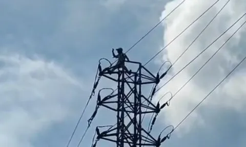Say rượu, người đàn ông trèo lên cột điện "ăn vạ" vì không đòi được... 445 nghìn đồng
